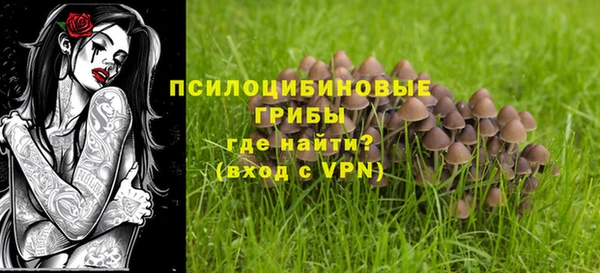 прущая мука Магадан