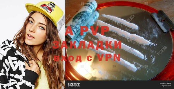 a pvp Магас