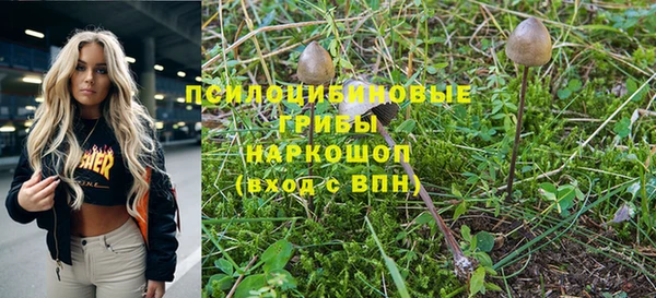 a pvp Магас