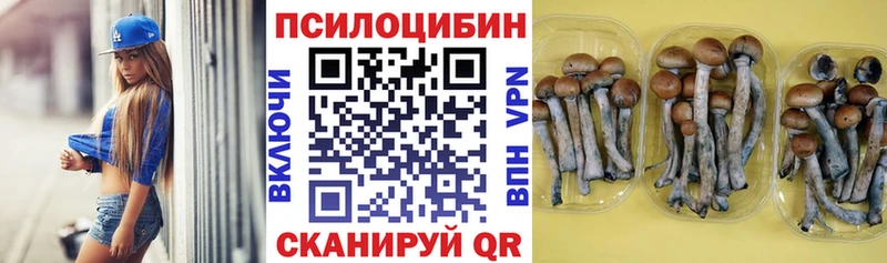 Галлюциногенные грибы прущие грибы Истра