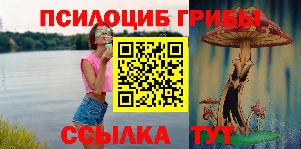 Галлюциногенные грибы Psilocybe  Истра 