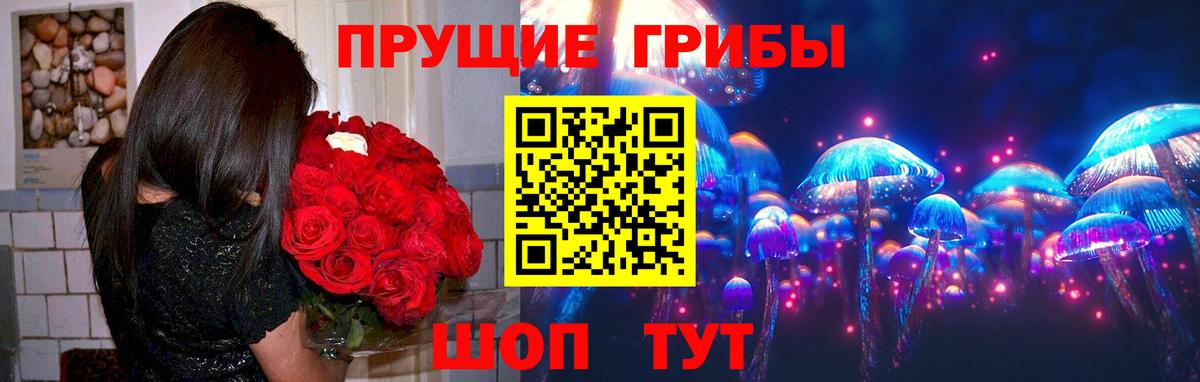купить наркотик  Галлюциногенные грибы Cubensis  Псилоцибиновые грибы Magic Shrooms  Вход с VPN  Истра 